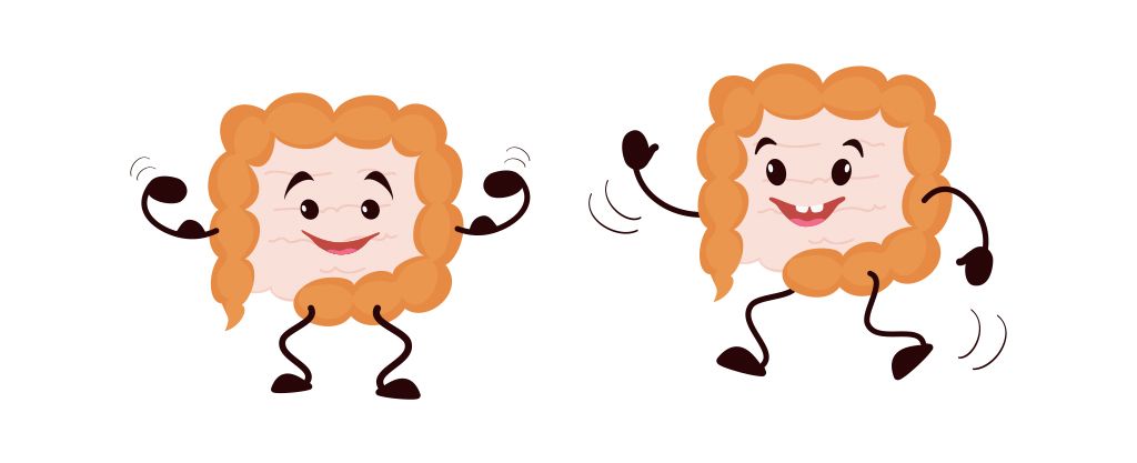 la influencia de la microbiota en el sistema inmunitario en 4 pasos