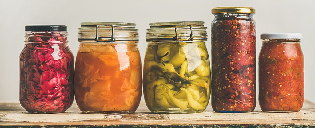 alimentos fermentados