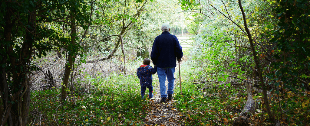 microbiota envejecimiento