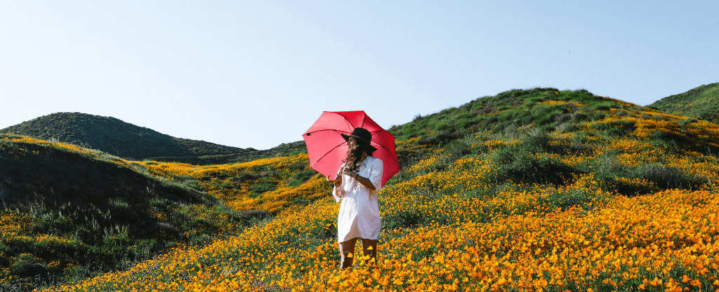 cistitis repetición microbiota