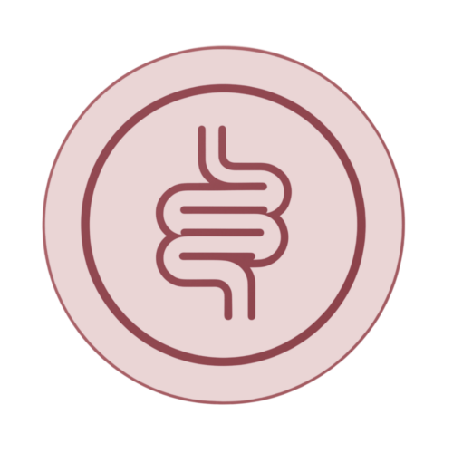 disbiosis y metabolismo